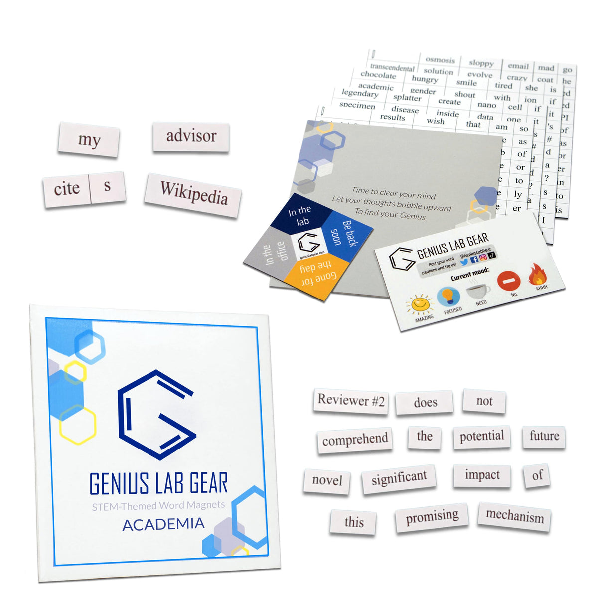 Academia Word Magnets Kit - Funny Nerdy Poetry Set for College to PhD & Post-Doctoral Research & Professors - Ideal Cool Geek Gift Office Refrigerator-Magnetic White Board - STEM Students & Adults Set