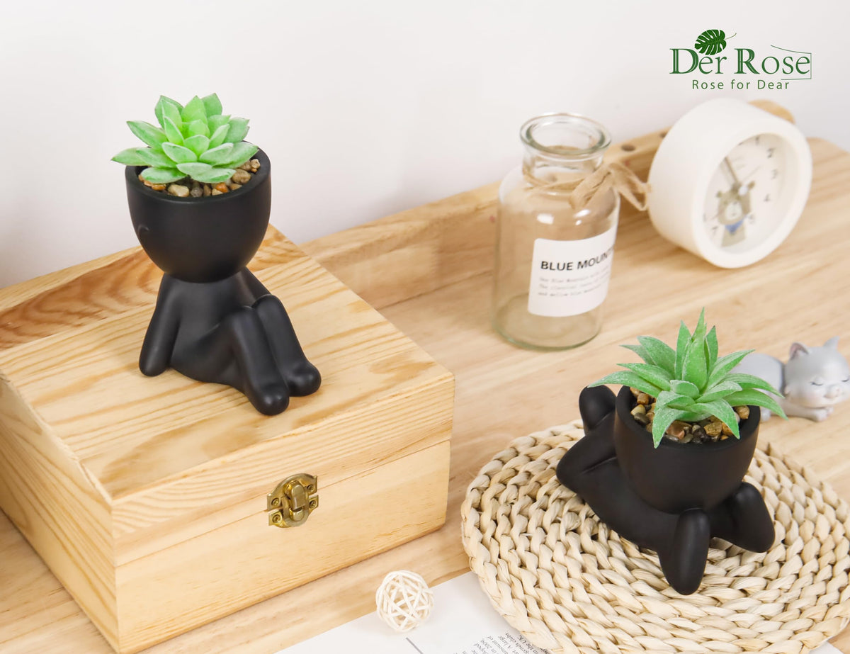 Der Rose 2 Pack Fake Plants Succulent Plants Artificial for Home Bathroom Living Room Office Decor