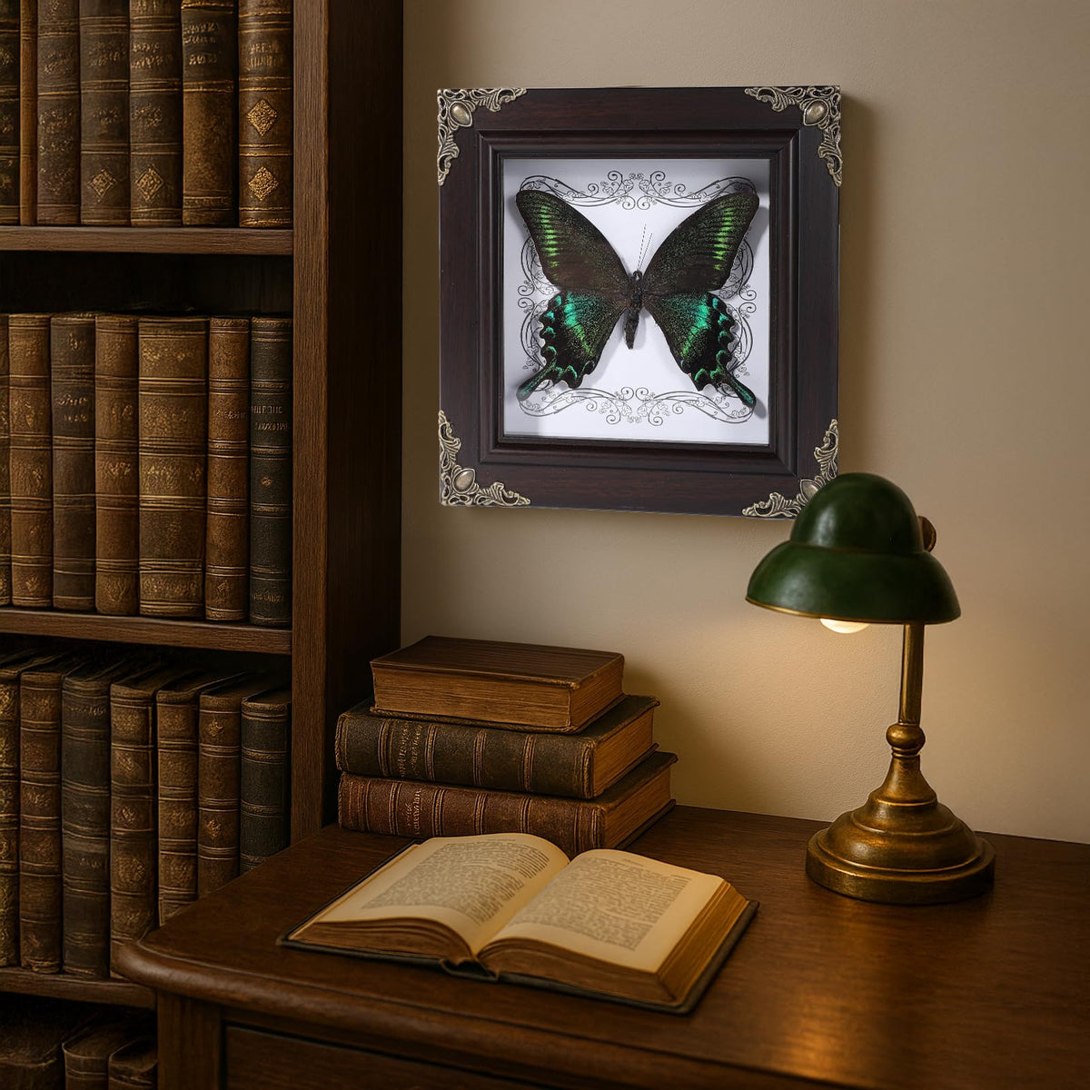 Real Butterfly Framed Home Decor,Taxidermy Shadow Box for Goth Dark Academia Wall Art Decor,Gothic Furniture Gifts for Victorian Whimsigoth Fantasy Moody Witchy Room Bedroom Decor