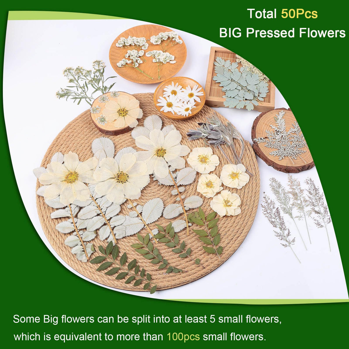 12“ Large Dried Pressed Flowers for Art Crafts, Real Dry Natural Flower Leaf Fruit Bulk for Resin Mold, Cake Decor, Glass Frame (Winter Silver)
