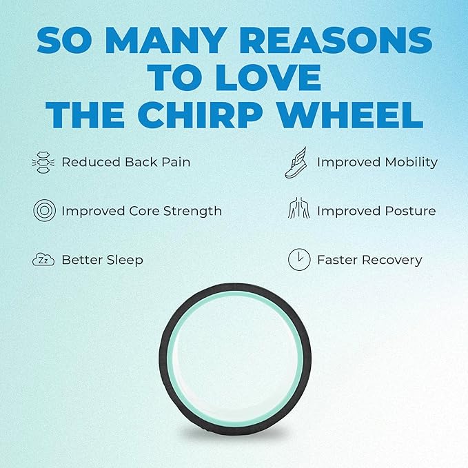 Chirp Wheel Foam Roller ??Targeted Back & Neck Relief, Lumbar Spine Stretcher, Spinal Decompression Back Stretcher, Massage Roller with Density Foam for Physical Therapy, Supports 500lbs, 6-Inch Mint