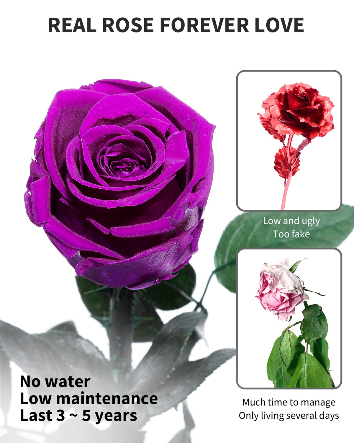 Purple Flowers for Delivery Prime, Preserved Purple Roses Flower Gifts for Women, Real Roses Single Rose Gifts for Her, Mom Birthday Gifts from Daughter, Valentines Flowers