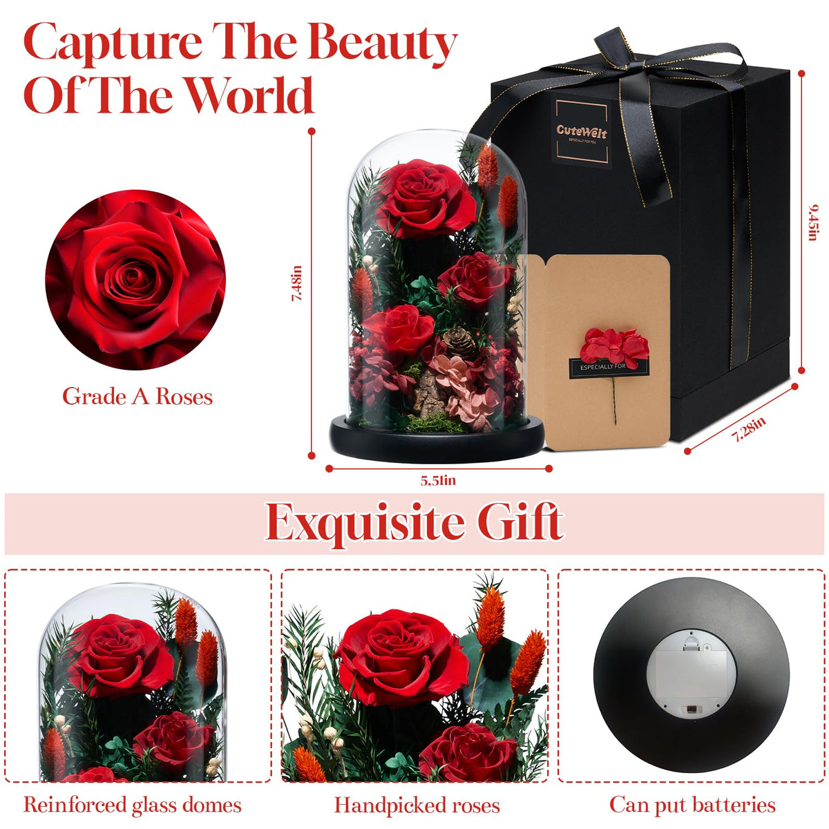 CuteWelt Preserved Roses,Forever Fresh Flowers 7.48in,Gift for Women,Mom,Grandma,Wife,Girlfriend,Sister,and Daughter Perfect for Birthday,Mother’s Day,Valentine’s Day (True Romance1)