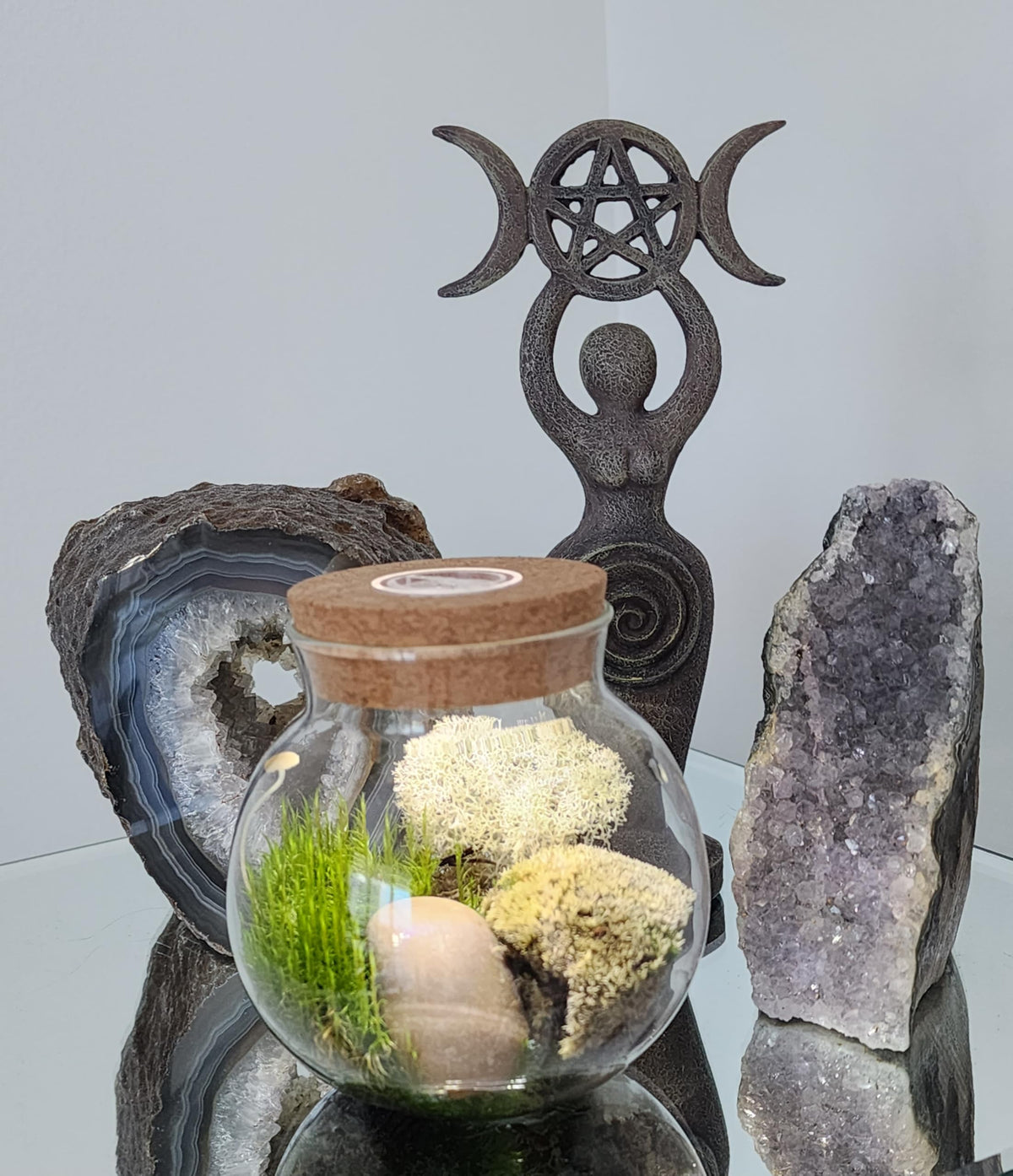 Create Your Serene Moss Sanctuary with The Unique Gardener Moss Bowl Terrarium Kit with LED Light - Complete Terrarium Supplies, Indoor Plants for Stress Relief & Air Purification!