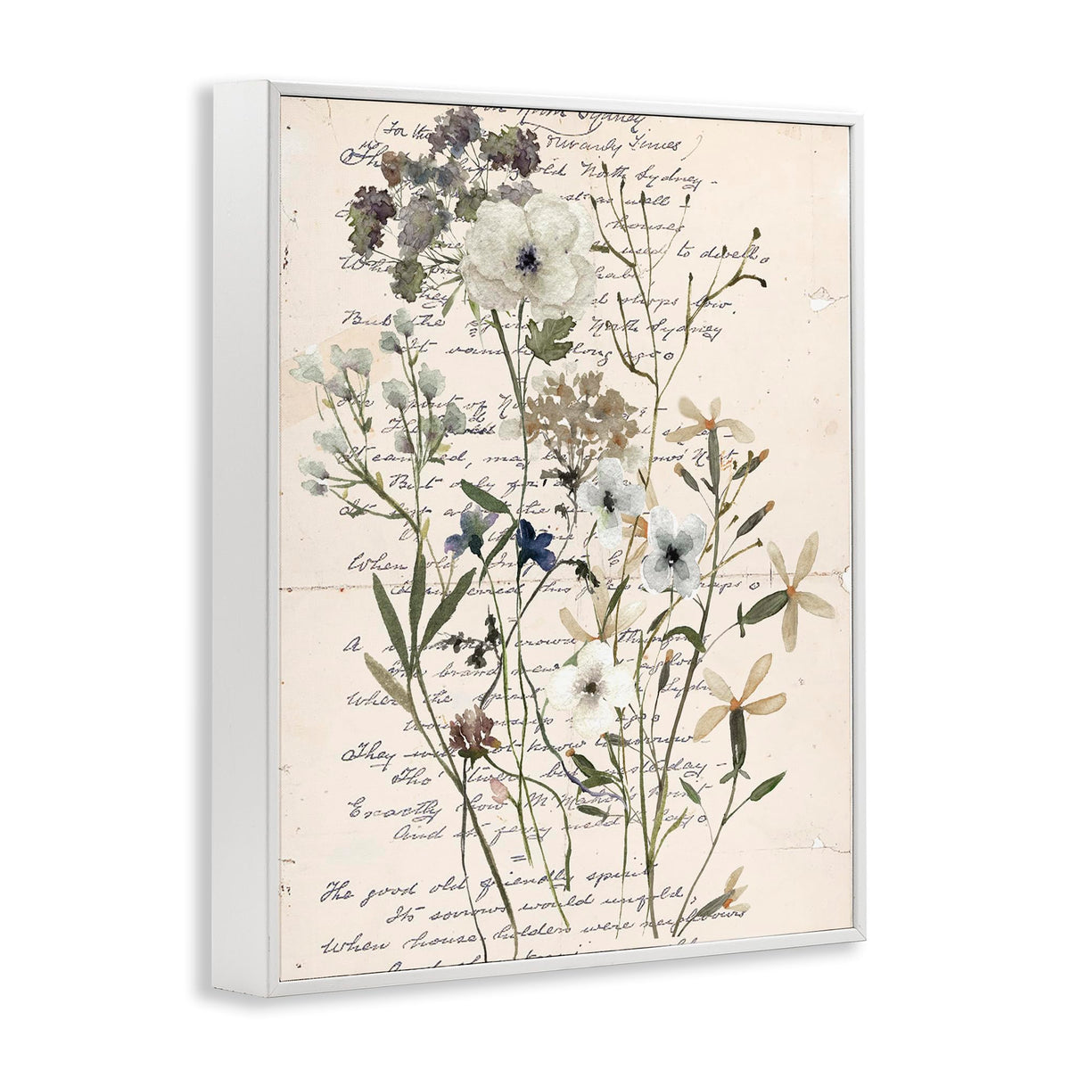 Stupell Industries Vintage Pressed Flowers White Framed Giclee Wall Art Design by Carol Robinson, 11 x 14