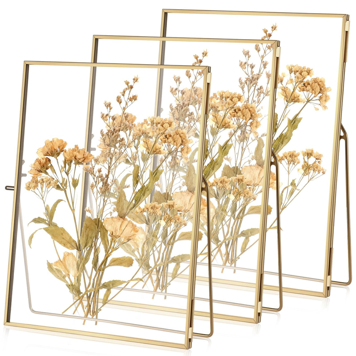Vicenpal 3 Pack Glass Pressed Flower Frame Handmade, 6 x 8 Floating Picture Frames for Pressed Flowers, Brass Double Glass for Tabletop Display, Home Office Plant Specimen, Photos(Gold)