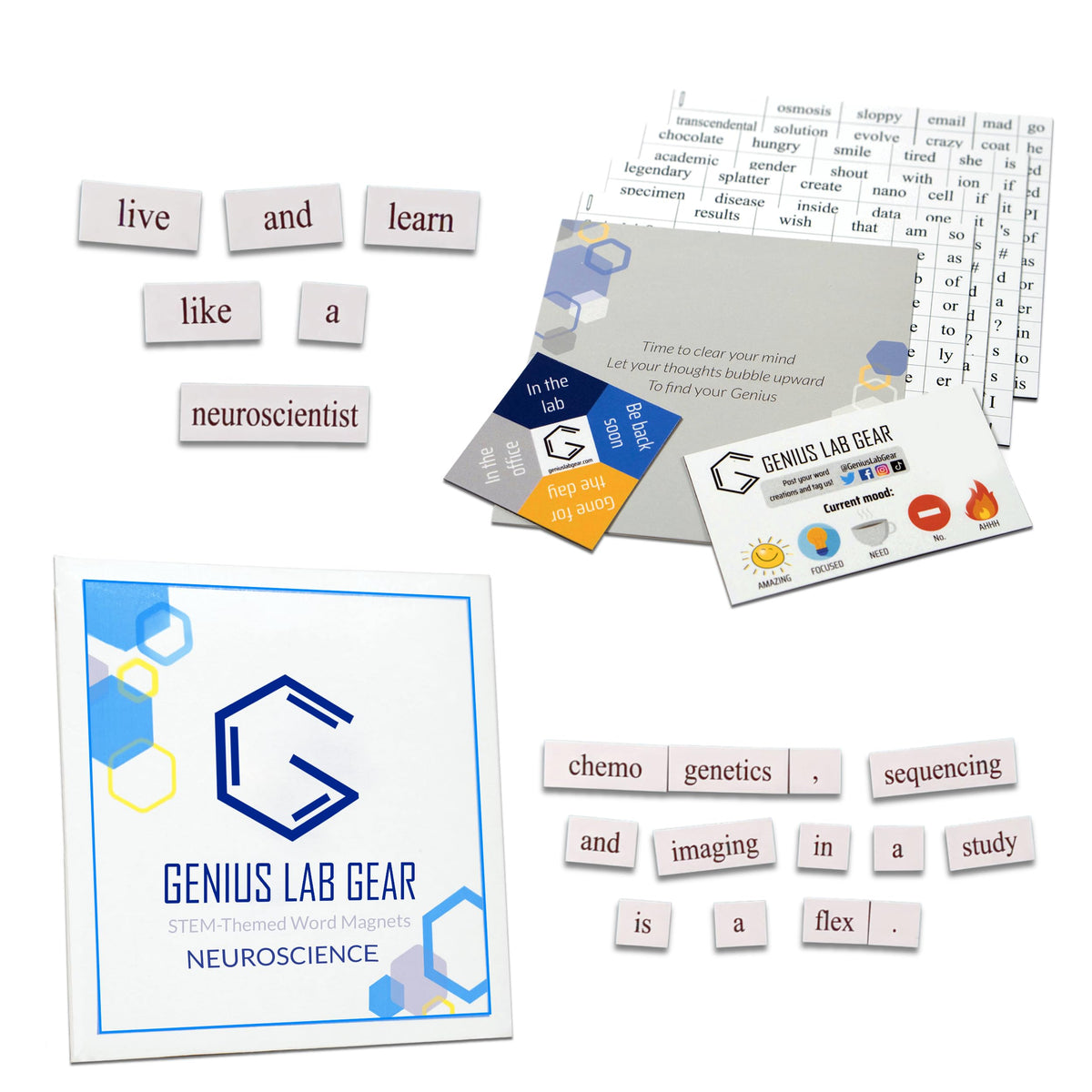Neuroscience Word Magnets Kit - Funny Nerdy Poetry Set for College to PhD & Professional Neuroscientist- Ideal Geek Cool Tech Gift Office Refrigerator-Magnetic White Board - For STEM Students & Adults