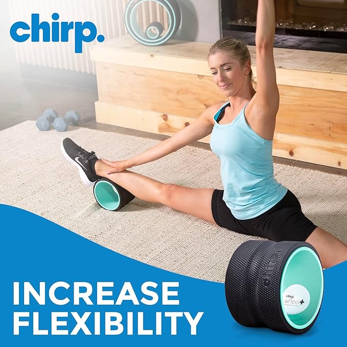 Chirp Wheel Foam Roller ??Targeted Back & Neck Relief, Lumbar Spine Stretcher, Spinal Decompression Back Stretcher, Massage Roller with Density Foam for Physical Therapy, Supports 500lbs, 6-Inch Mint