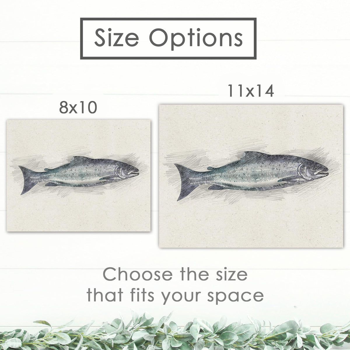 DREAM BIG PRINTABLES Fish Sketches Art Prints (Set of 6) - Unframed - 8x10 | Fishing Wall Decor for Fisherman