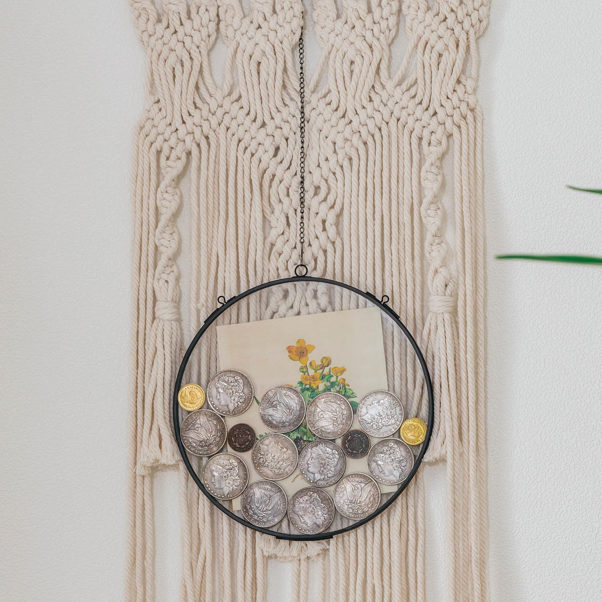 NCYP Deep Floating Glass 8 Inch Round Hanging Display Frame for Pressed Flowers, Thick Dried Flowers, Leaves, Botanical Art, Keepsakes, Black (Glass Frame Only)