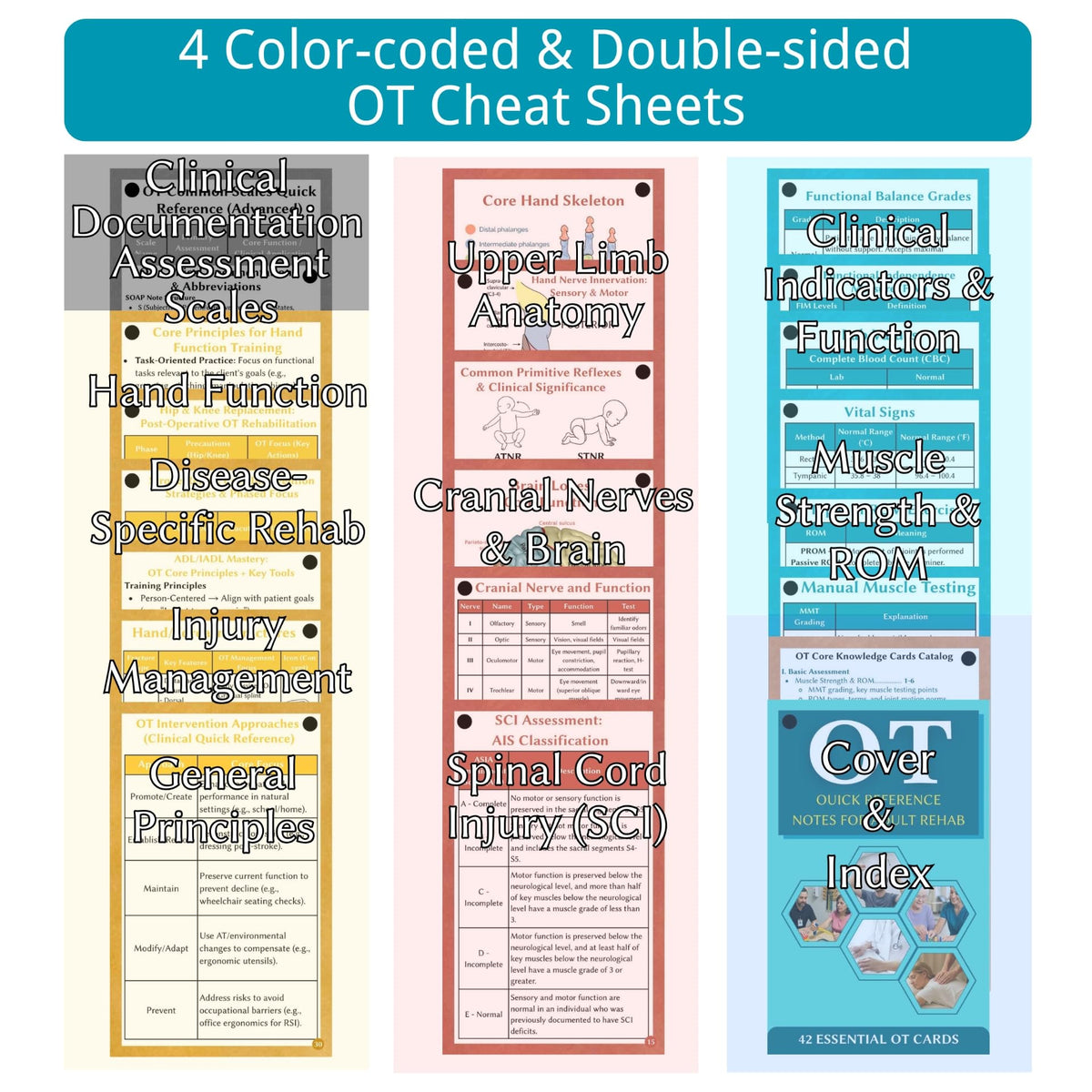 Occupational Therapy Quick Reference - 42 Essential OT Cards for Adults - an Ideal Gift & Tool for Occupational Therapists, OTAs, and Students - Therapist Must Haves