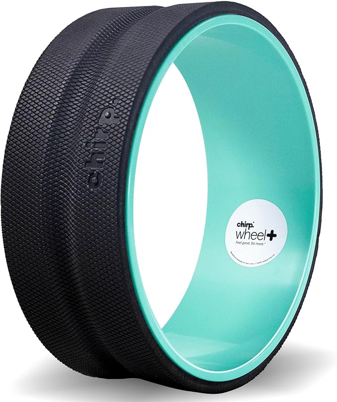 Chirp Wheel Foam Roller ??Targeted Back & Neck Relief, Lumbar Spine Stretcher, Spinal Decompression Back Stretcher, Massage Roller with Density Foam for Physical Therapy, Supports 500lbs, 12-Inch Mint