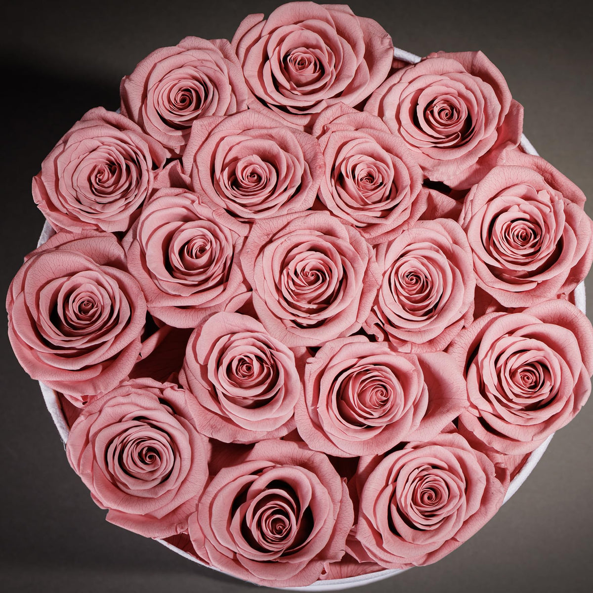 Prifroti 17 Flowers in a Luxury Suede Box, Birthday Gifts for Women, Preserved Flowers, Mothers Day Roses Gift for Mom, Dusty Rose
