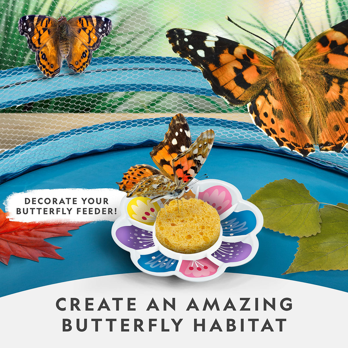 National Geographic Butterfly Growing Kit - Butterfly Habitat Kit with Voucher to Redeem 5 Caterpillars (S&H Not Included), Butterfly Cage, Feeder (Amazon Exclusive)