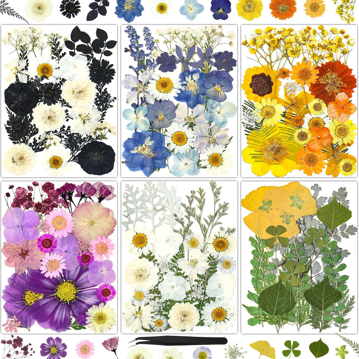 150Pcs Pressed Flowers for Crafts, Colorful Dried Flowers for Crafts Real Natural Dried Pressed Flowers Dry Leaves Bulk for Resin, DIY Art, Scrapbook, Jewelry, Card, Candle & Soap Making with Tweezers