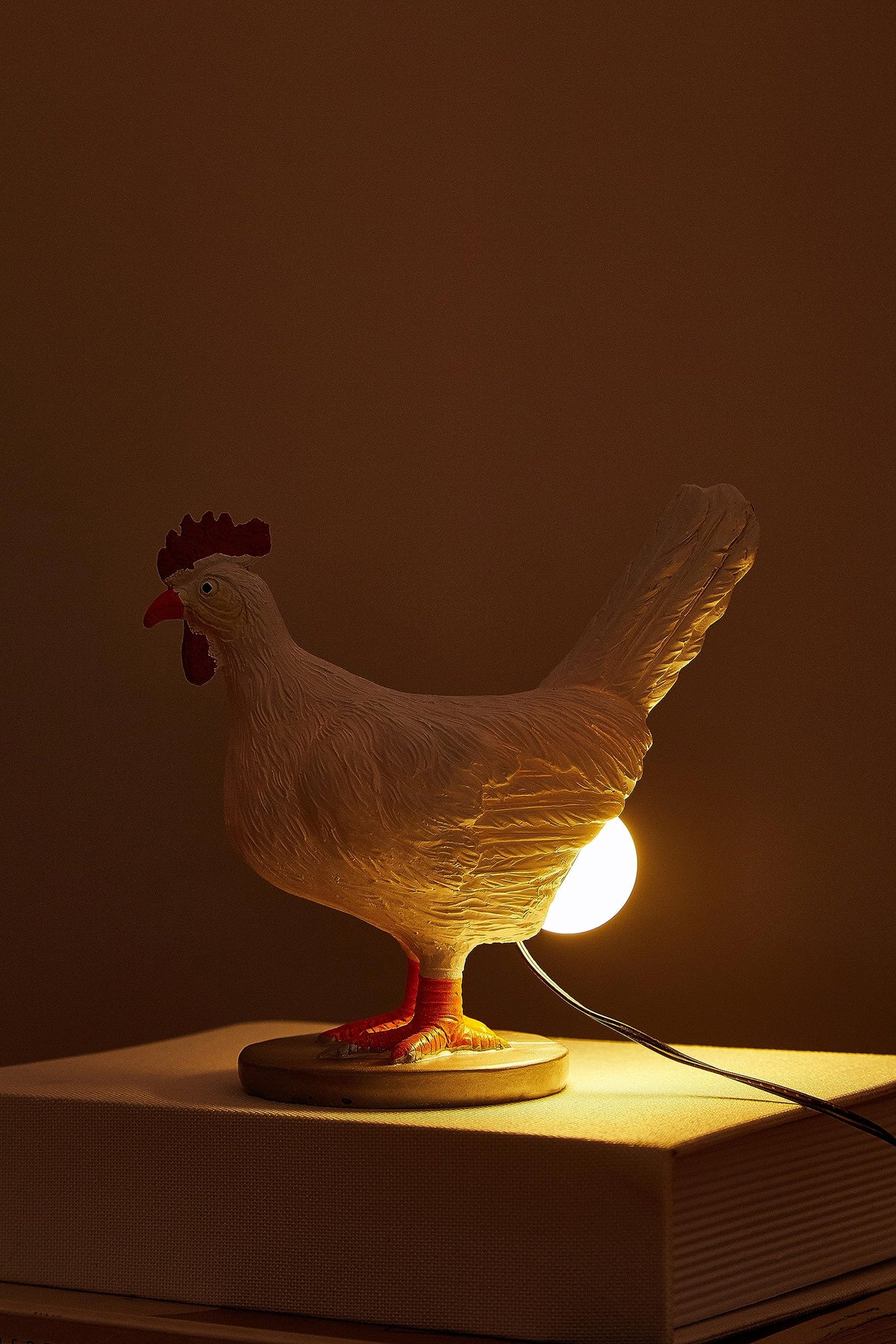 BooLai Chicken Egg lamp,3D Chicken lamp,Lifelike LED Egg Lamp, Funny Resin Chicken Egg Night Light with USB, Colorful Box Packing (A)