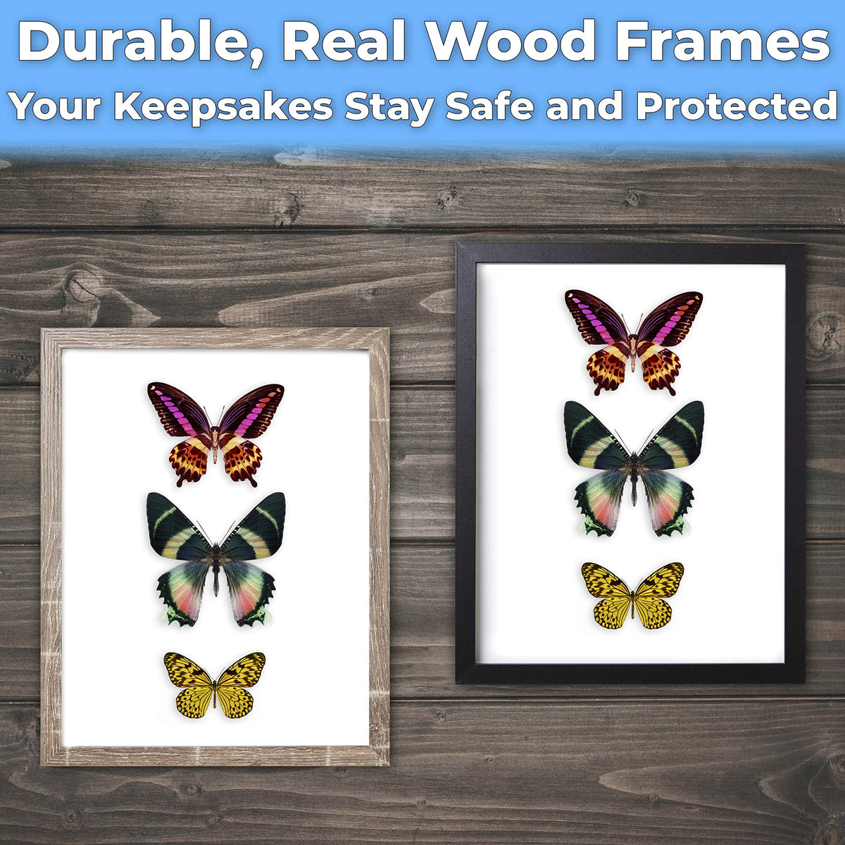Super-Sturdy, 11x14 Gray Shadow Box Frame With Glass 2pk. Fill Large Rustic Wood Memory Box With Wedding Flowers, Jerseys, Pet Photos, Ticket Stubs, or Medals. Great Seashell Display Case